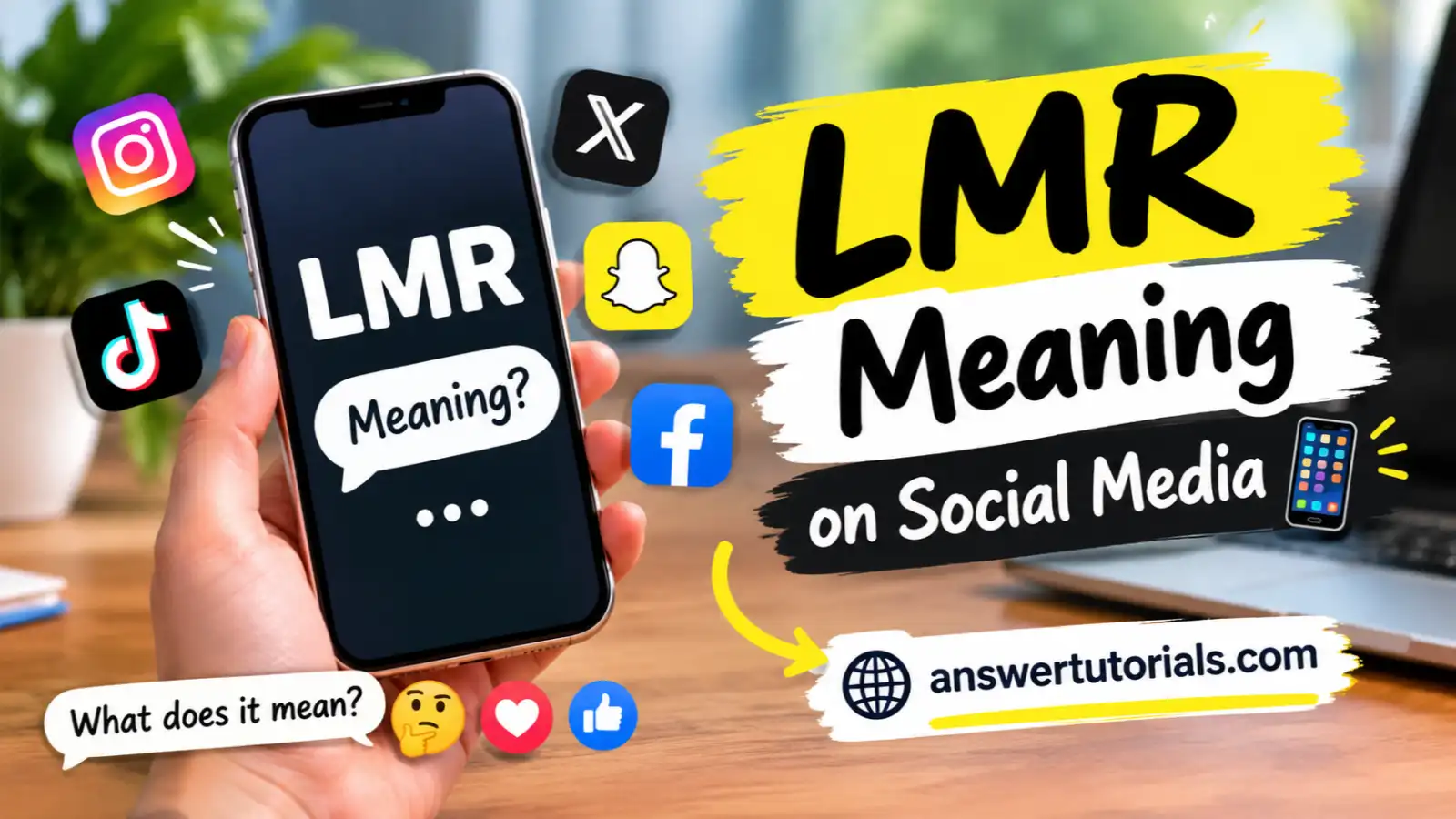LMR Meaning on Social Media