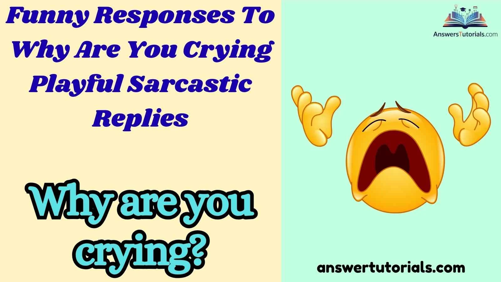 Funny Responses To Why Are You Crying Playful Sarcastic Replies